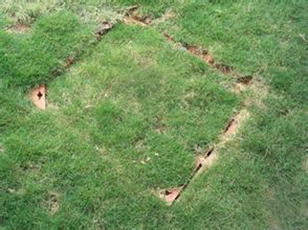 不锈钢草盆井盖